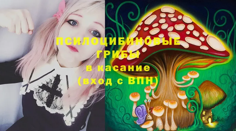 OMG ссылка  Луга  Галлюциногенные грибы Psilocybine cubensis 